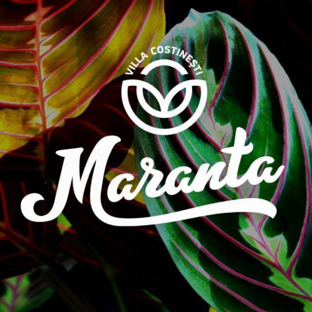 Отель Casa Maranta Костинешти Экстерьер фото